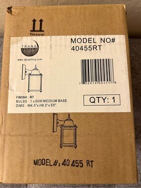 Trans Globe Wall Lantern Light Fixture